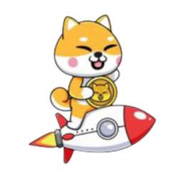 Baby Shiba Rocket