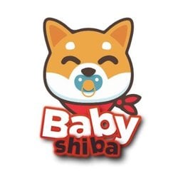 Baby Shiba