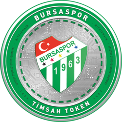 Bursaspor Fan Token