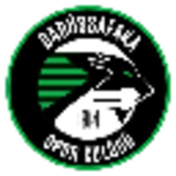 darussafaka-sports-club