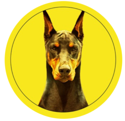 Dobermann